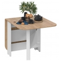 Стол-книга ТриЯ Т1 232/1600х800 дуб крафт золотой/белый