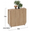 Стол-книга ТриЯ Т1 232/1600х800 дуб крафт золотой/белый
